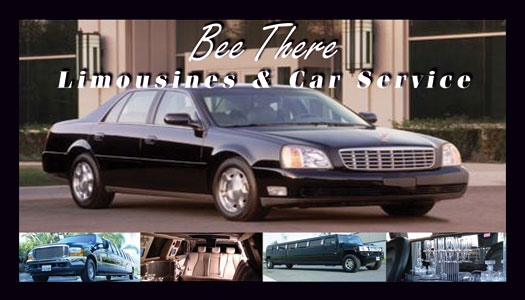 stretch limousines, horse carriages, party buses, rent limo, luxury car rental